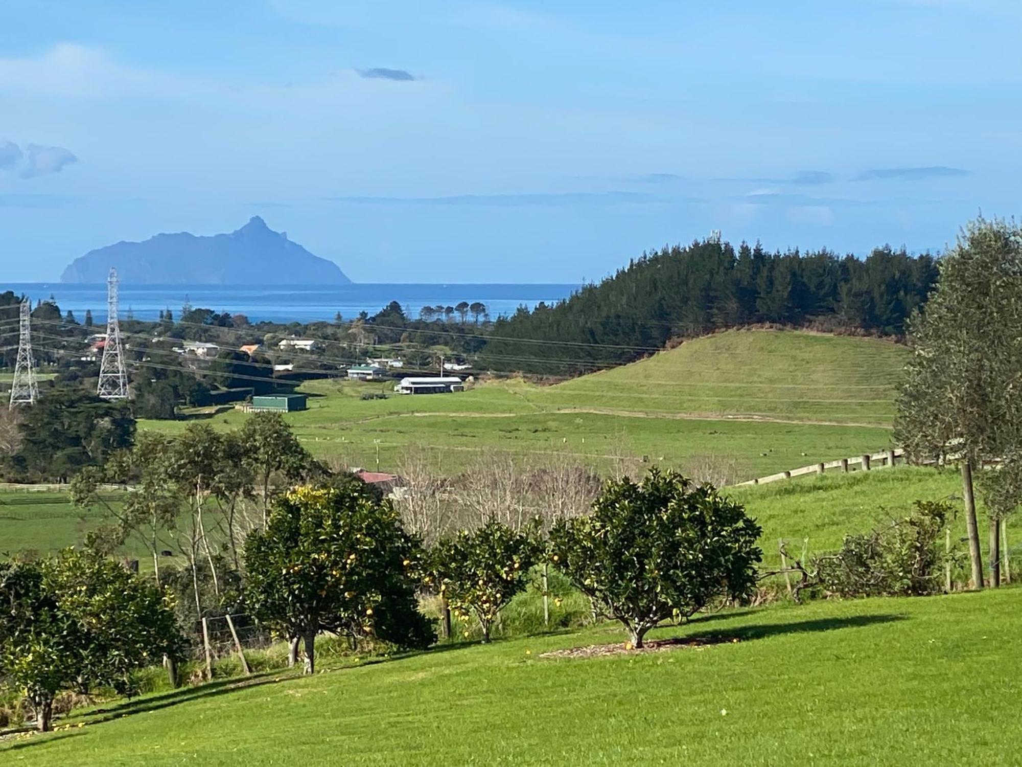 Moko Hiwi Escape Ruakaka - Tui Suite Exterior foto